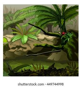 Nature of the rainforest. Vector illustration.