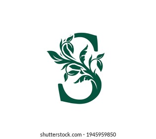 Nature S Letter Floral logo. Vintage classic ornate letter vector.