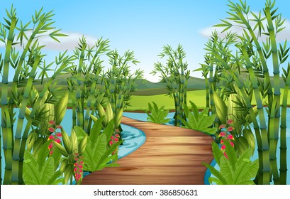 Nature scene with bamboos along the bridge illustration