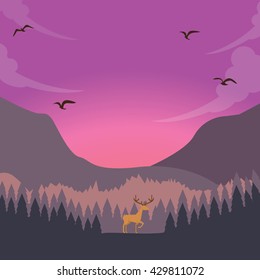 nature scene deer on sunset sunrise in forest majestic sky 