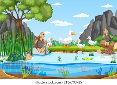 Nature scene with ducks and tortoises in the pond illustration