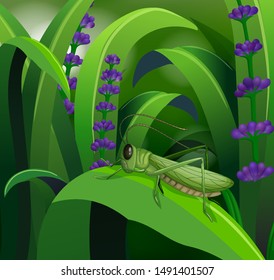 Nature scene with grasshopper on leaf illustration