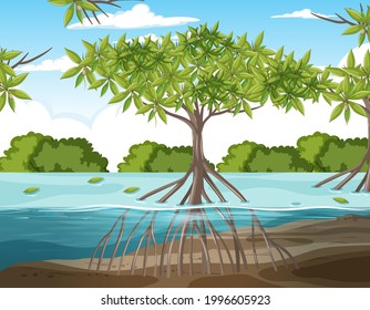 Nature scene with mangrove forest and roots of mangrove tree in the water illustration