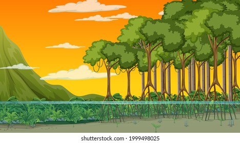 Nature scene with Mangrove forest at sunset time in cartoon style illustration