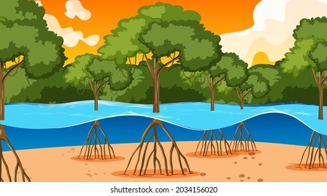 Nature scene with Mangrove forest at sunset time in cartoon style illustration