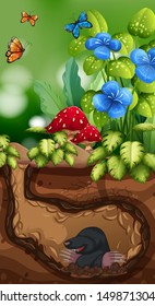 Nature scene with mole and butterfly illustration