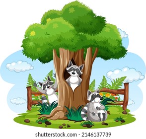 Nature scene with raccoons in the park illustration