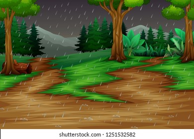 Nature scene with the rain in forest background