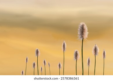 nature scene of reeds in summer