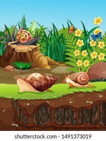 Nature scene with snails crawling in garden illustration