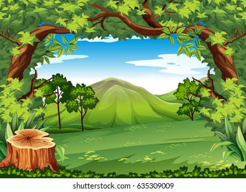 Nature scene with stump in foreground