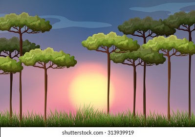 Nature scene at sunset illustration