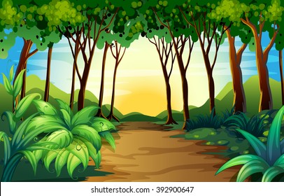 Nature scene with track in the woods illustration