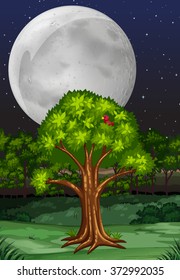 Nature scene with tree and fullmoon at night illustration