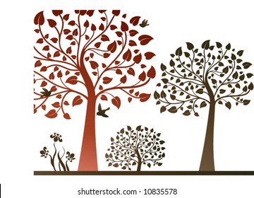 nature scene with trees