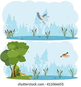 nature scenes. Scene lakes and swamps with living birds. vector