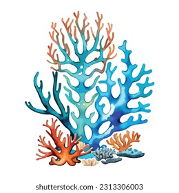 Coral Reef Vector Art & Graphics