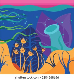 The nature of the seabed. Illustration
