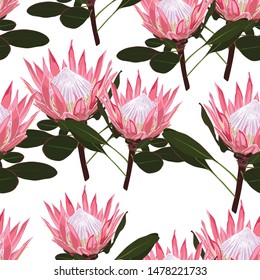 Nature seamless pattern. Hand drawn tropical summer background: exotic pink protea flowers branch with leaves. White background.