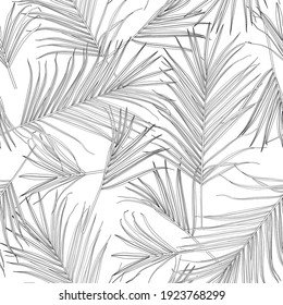 Nature seamless pattern. Hand drawn tropical summer background: black white palm tree leaves, line art background.	