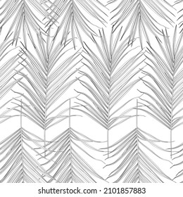 Nature seamless pattern. Hand drawn tropical summer background. Black white palm tree leaves, line art. 