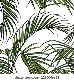Nature seamless pattern. Hand drawn tropical summer background: green line palm tree leaves on white background. 