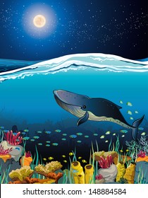 Nature seascape with coral reef with floating whale and night starry sky over surface