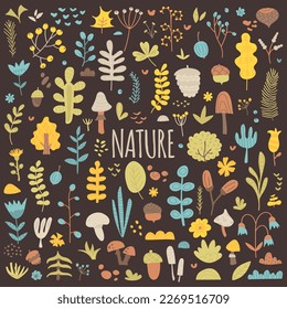 Nature, seasons, spring, summer. Big collection of natural botanical elements. Set of leaves, flower, tree, mushroom, berries, acorn, cone, nut, herbs and branches. Vector hand drawn flat illustration