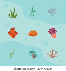 nature seaweed plants set icons