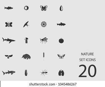 Nature set of flat icons. Simple vector illustration
