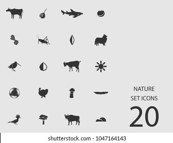 Nature set of flat icons. Simple vector illustration