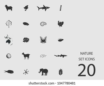 Nature set of flat icons. Simple vector illustration