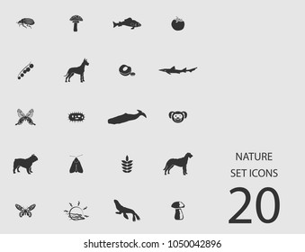 Nature set of flat icons. Simple vector illustration