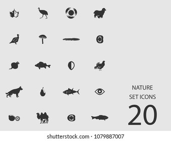 Nature set of flat icons. Simple vector illustration