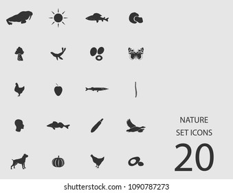 Nature set of flat icons. Simple vector illustration