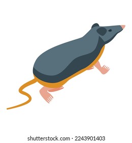 Nature shrew icon isometric vector. African animal. Funny pet
