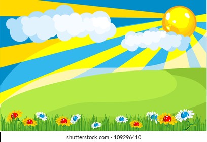 Nature in the sky shining bright rays of the sun illuminates the huge fields and meadows blooming summer flowers