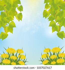 Nature sky tree branches birch trees and dandelions flowers