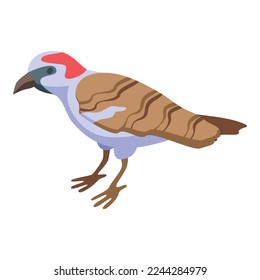 Nature sparrow icon isometric vector. Bird house. Male bird