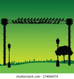 nature with sparrow and street lights vector
