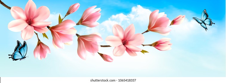 Nature spring background with beautiful magnolia branches and butterfies. Vector.