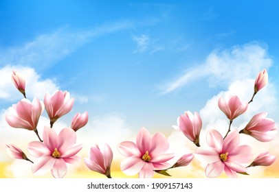 Nature spring background with beautiful magnolia branches on blue sky. Vector.