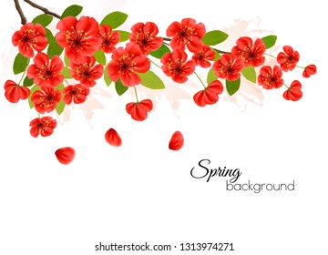Nature spring background with spring blossom of sakura. Vector.