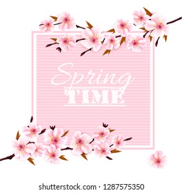 Nature spring background with cherry blossoms. Vector.