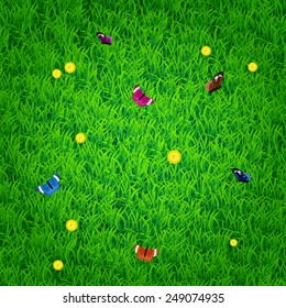 Nature spring background with grass, flowers and butterflies