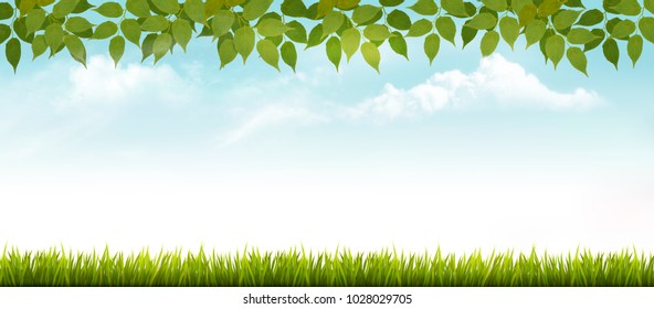 Nature spring background with grass and leaves. Vector.