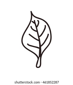 Nature and spring concept represented by leaf icon. Isolated and sketch illustration