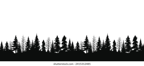 Nature spruce tree park view vector illustration or pine tree silhouette panorama isolated on white