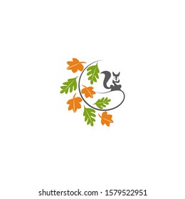 Nature, squirrel logo
illustration design of leaves and squirrel animals