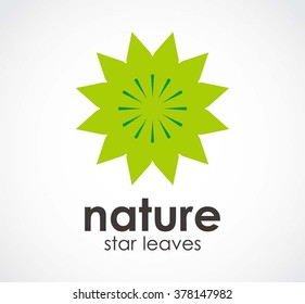 Nature star of leaves abstract vector and logo design or template flower green business icon of company identity symbol concept